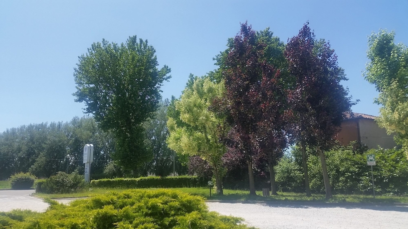 Imagen de los exteriores del Hotel Verdemilia. Foto 11