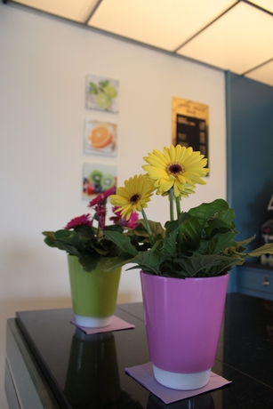 Imagen del bar/restaurante del Hotel Verdemilia. Foto 6