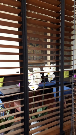 Imagen de los interiores del Hotel Verdemilia. Foto 16