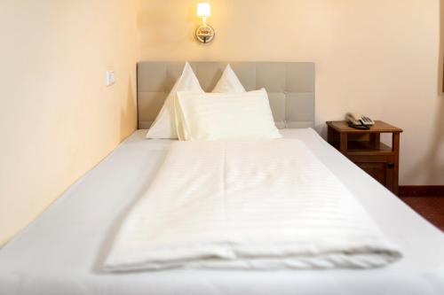 Imagen general del Hotel Vergeiner\'s Traube. Foto 7