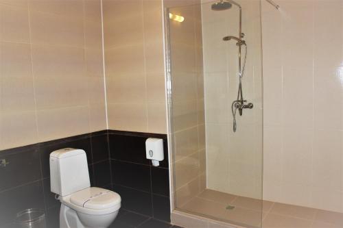 Imagen de la habitación del Hotel Verhovina, Petropavlivska Borshchahivka. Foto 8