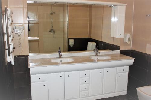 Imagen de la habitación del Hotel Verhovina, Petropavlivska Borshchahivka. Foto 9