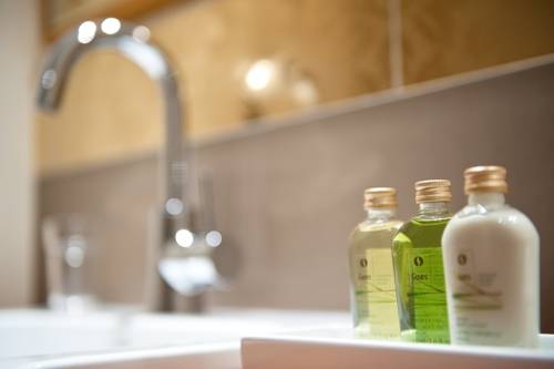 Imagen general del Hotel Verw&ouml;hnhotel Goies. Foto 6