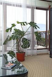 Imagen general del Hotel Veseliy Hotey. Foto 9