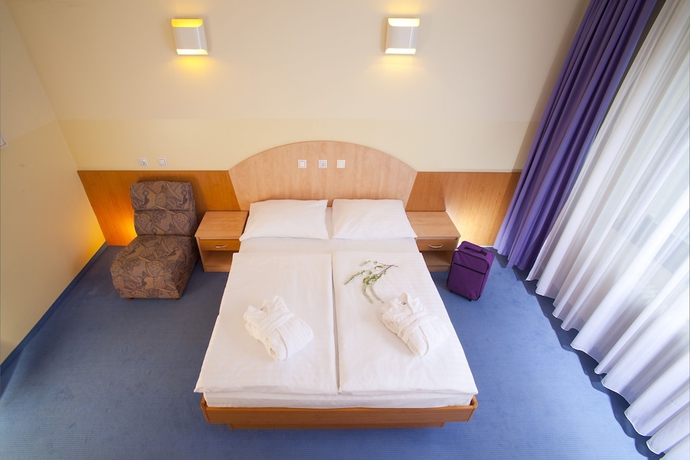 Imagen de la habitación del Hotel Vesna, Topolsica. Foto 12
