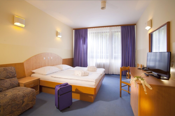 Imagen de la habitación del Hotel Vesna, Topolsica. Foto 14