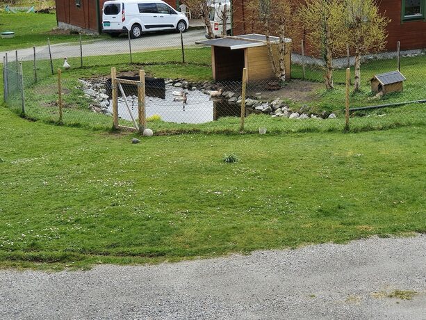 Imagen general del Hotel Vestavind Hytter og Rom. Foto 8