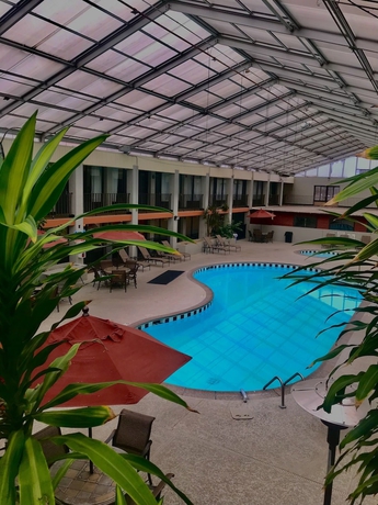 Imagen general del Hotel VetteCity. Foto 1