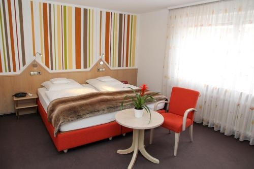 Imagen general del Hotel Vetter. Foto 8