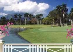 Imagen general del Hotel Vh Victoria Resort. Foto 2