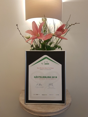 Imagen de los interiores del Hotel Via Regia - VIAs-Hotels. Foto 19