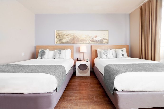 Imagen de la habitación del Hotel Viajero Miami. Foto 11