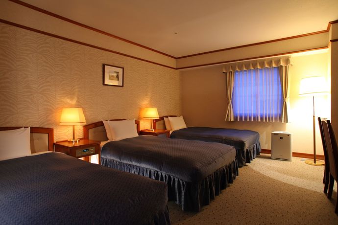 Imagen de la habitación del Hotel Viamare Kobe. Foto 8