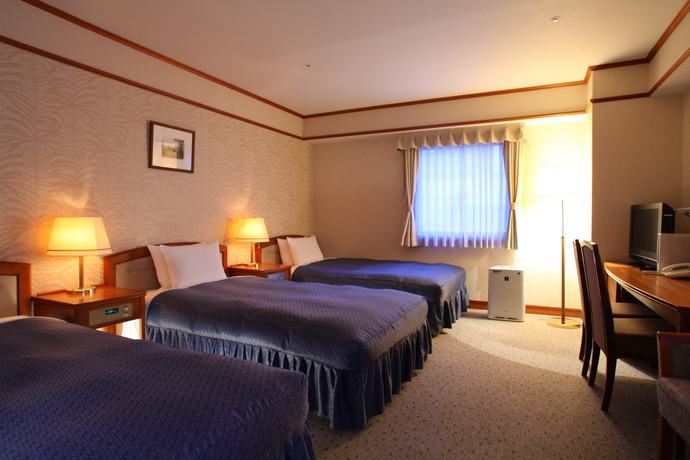 Imagen de la habitación del Hotel Viamare Kobe. Foto 14
