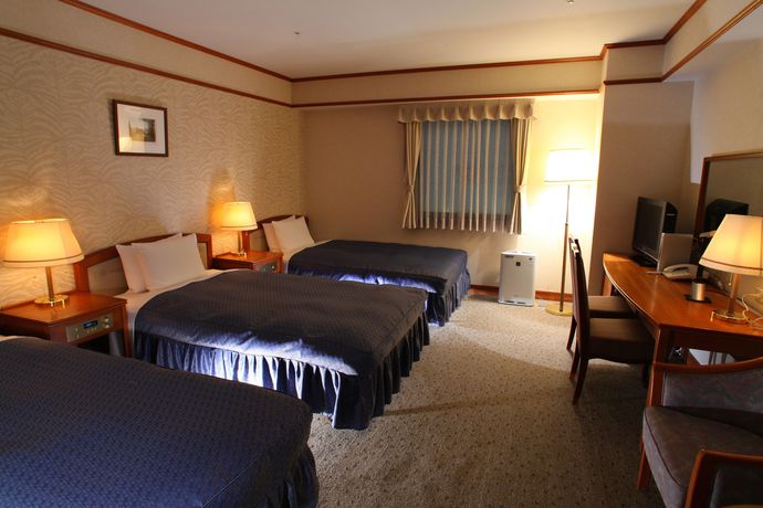 Imagen de la habitación del Hotel Viamare Kobe. Foto 17