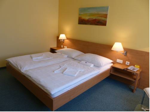 Imagen de la habitación del Hotel Vicedom. Foto 3