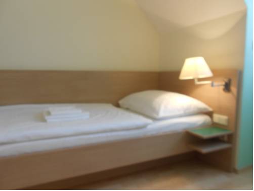 Imagen de la habitación del Hotel Vicedom. Foto 8