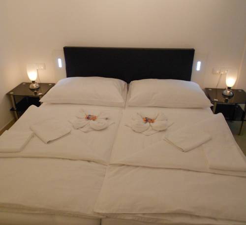 Imagen de la habitación del Hotel Vicedom. Foto 9