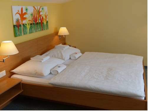 Imagen de la habitación del Hotel Vicedom. Foto 13