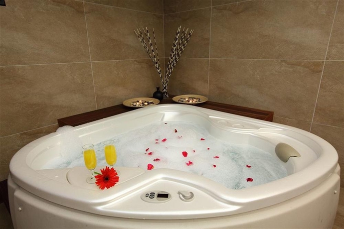Imagen de la piscina del Hotel Vicenza, Laleli. Foto 12