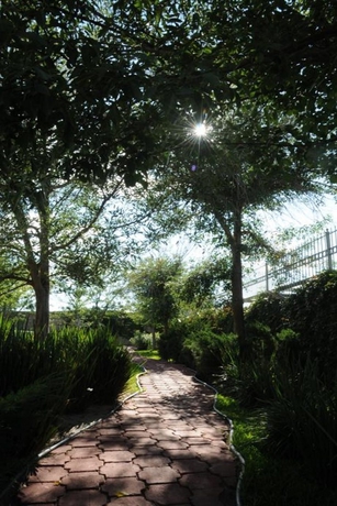 Imagen general del Hotel Victoria Express Durango. Foto 9