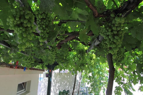 Imagen general del Hotel Victoria Guesthouse. Foto 9