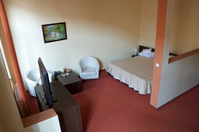 Imagen de la habitación del Hotel Victoria Hotel, Timisoara. Foto 8