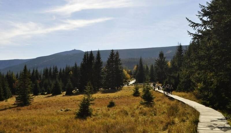 Imagen general del Hotel Victoria Karpacz. Foto 13