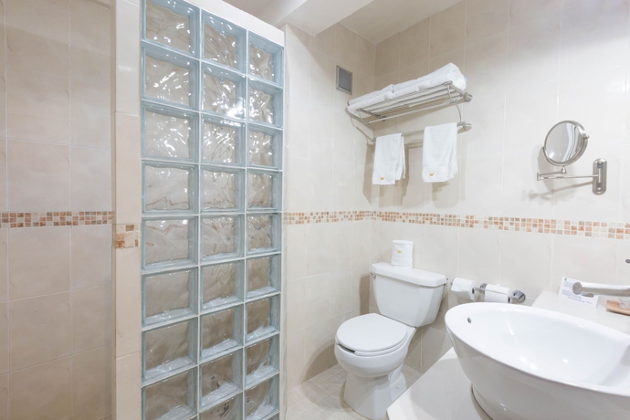 Imagen de la habitación del Hotel Victoria Merida. Foto 10