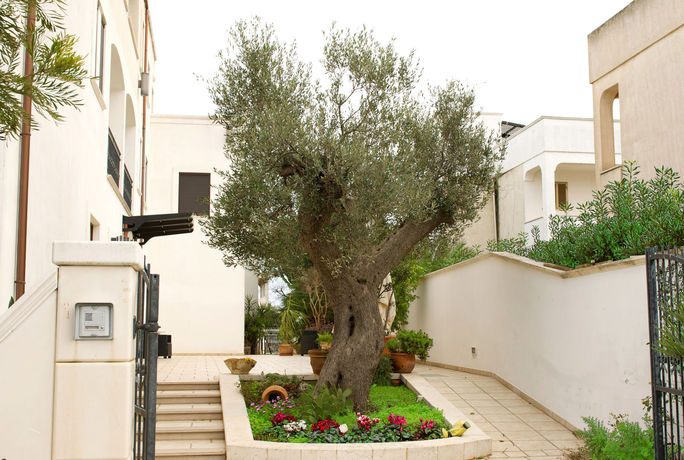 Imagen de la habitación del Hotel Victoria, Pantanagianni. Foto 7