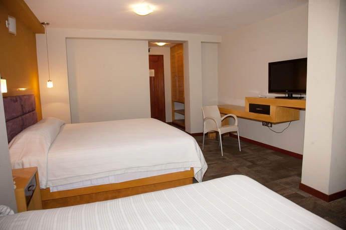 Imagen de la habitación del Hotel Victoria Regia. Foto 9