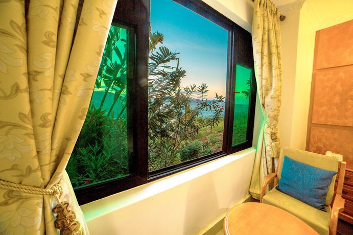 Imagen de la habitación del Hotel Victoria View. Foto 16