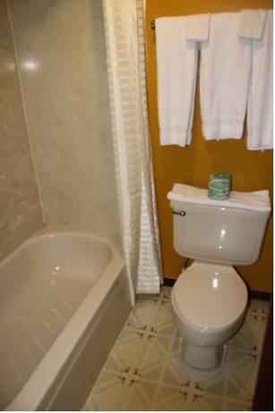 Imagen de la habitación del Hotel Victorian Inn, Athens . Foto 15