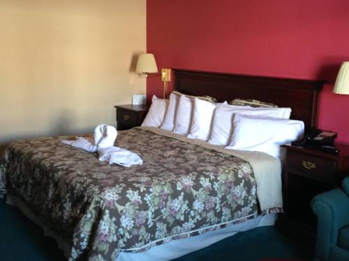Imagen de la habitación del Hotel Victorian Palace. Foto 9