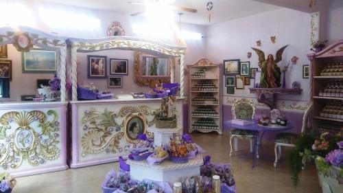 Imagen general del Hotel Vida En Rosas. Foto 2