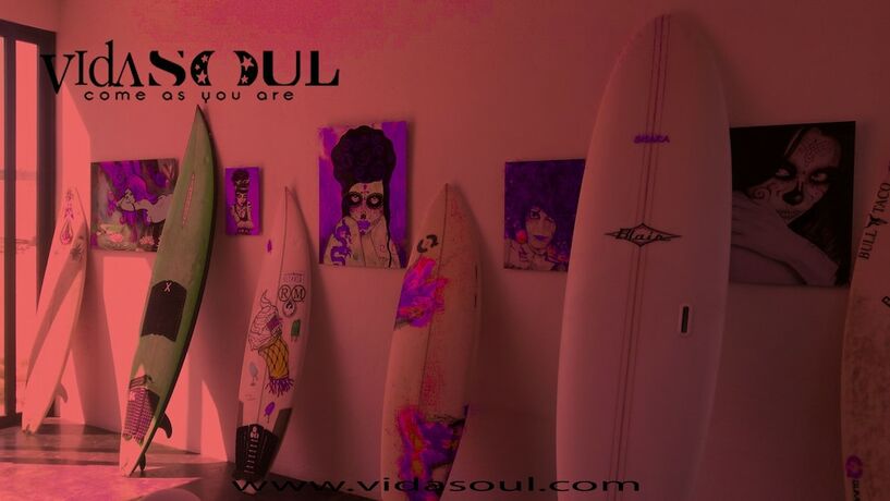 Imagen general del Hotel Vidasoul. Foto 12