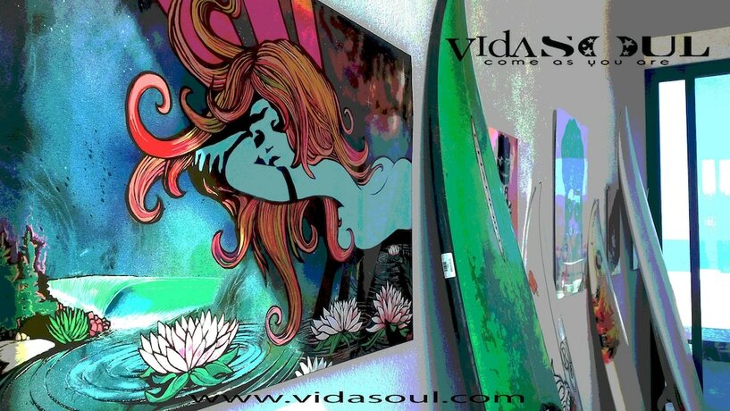 Imagen general del Hotel Vidasoul. Foto 15