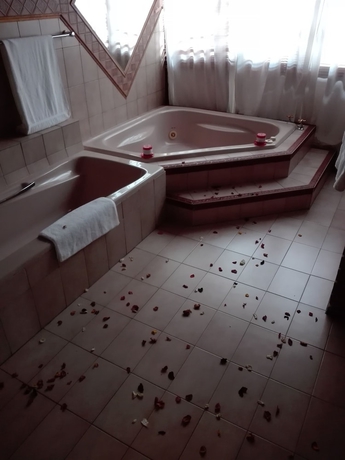 Imagen de la habitación del Hotel Vido Lodge and Conference Center. Foto 17