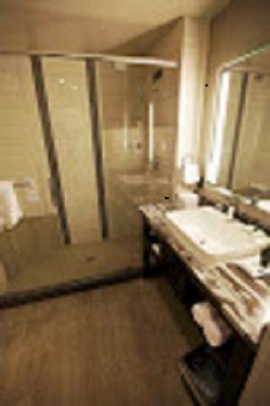 Imagen de la habitación del Hotel Viejas Casino and Willows. Foto 12