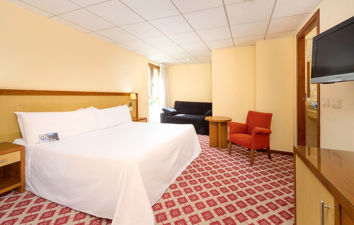 Imagen de la habitación del Hotel Vielha Val D'arán, Affiliated By Meliá. Foto 6