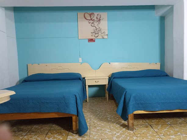 Imagen de la habitación del Hotel Viena, Irapuato. Foto 11
