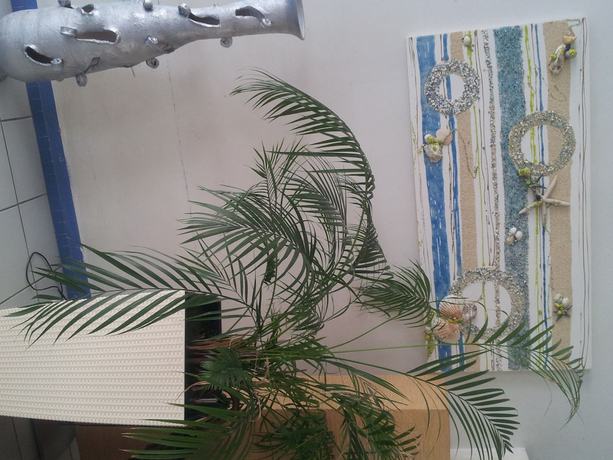 Imagen de los interiores del Hotel Vienna, Bellaria-Igea Marina. Foto 19