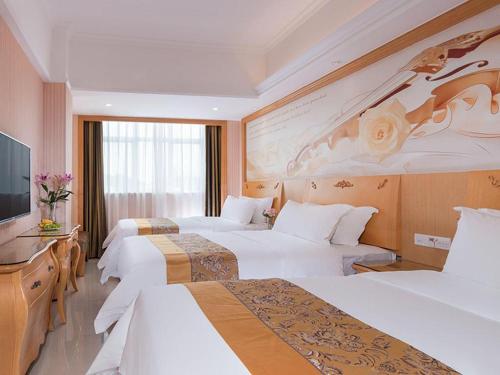 Imagen de la habitación del Hotel Vienna Classic Hotel Guangdong Yangxi Moon Bay. Foto 3