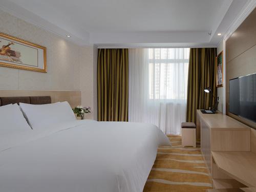 Imagen general del Hotel Vienna Classic Shenzhen Pingshan Bihu. Foto 1