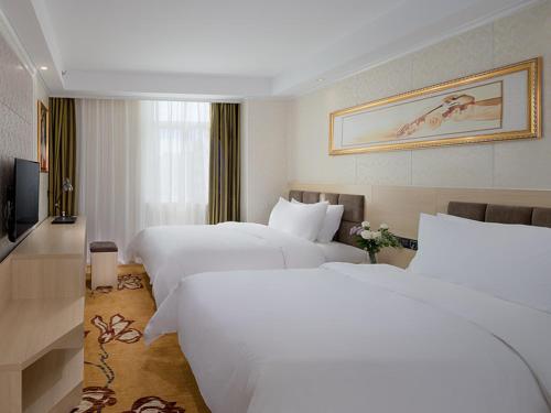 Imagen general del Hotel Vienna Classic Shenzhen Pingshan Bihu. Foto 3