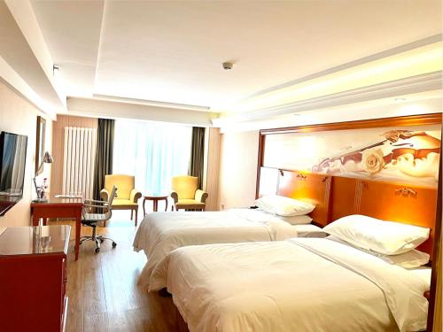 Imagen general del Hotel Vienna Harbin West Railway Station Wanda Plaza. Foto 3