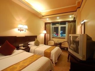 Imagen de la habitación del Hotel Vienna Hotel Airport. Foto 4