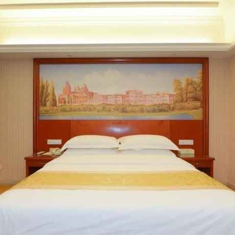 Imagen de la habitación del Hotel Vienna Hotel High Speed Railway Station. Foto 10