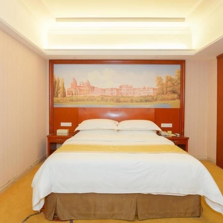 Imagen de la habitación del Hotel Vienna Hotel High Speed Railway Station. Foto 18