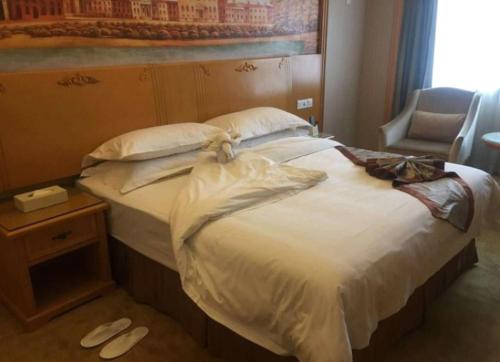 Imagen general del Hotel Vienna International Lhasa Potala Palace. Foto 16